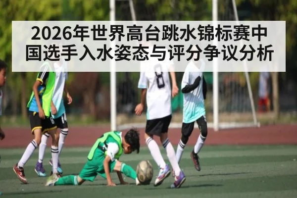 2026年世界高台跳水锦标赛中国选手入水姿态与评分争议分析